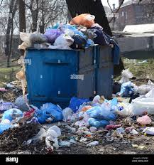 Best Hoarding Cleanup  in Hamshire, TX